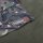 Trakker RLX Bed Cover Camo